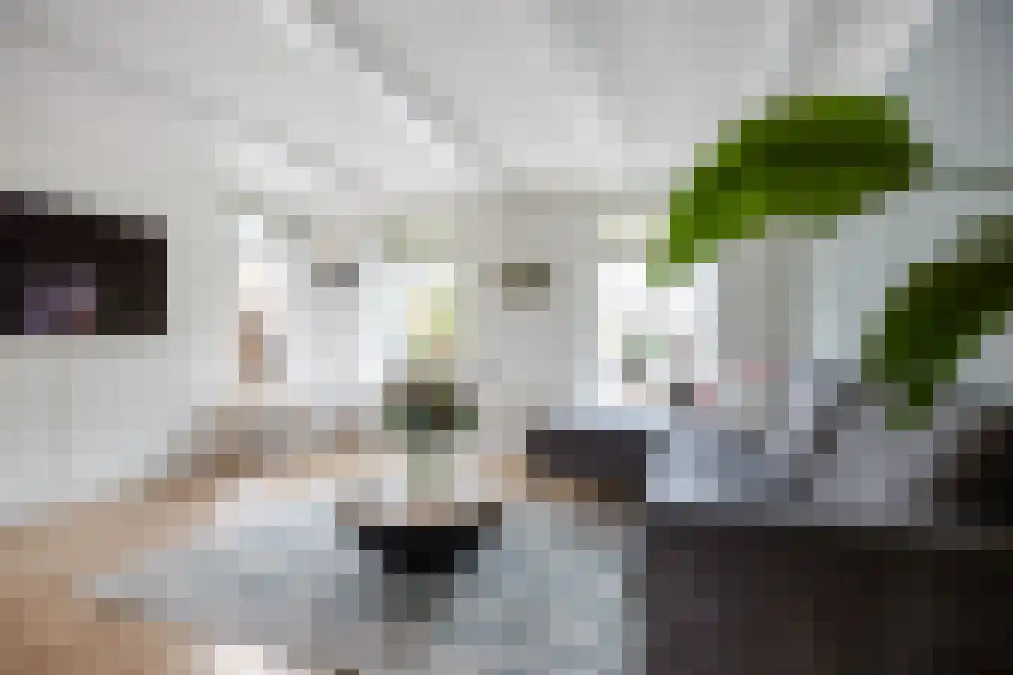 Hoofdstraat 57 Niezijl thumbnail 16