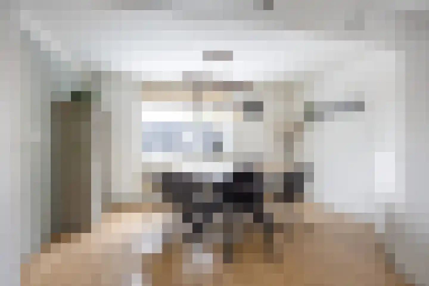 Hoofdstraat 57 Niezijl thumbnail 17