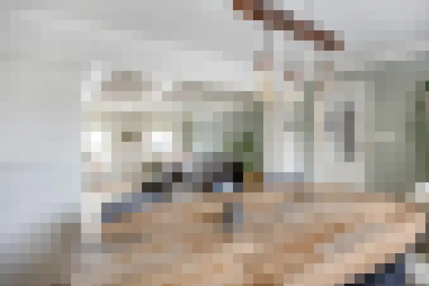 Hoofdstraat 57 Niezijl thumbnail 18