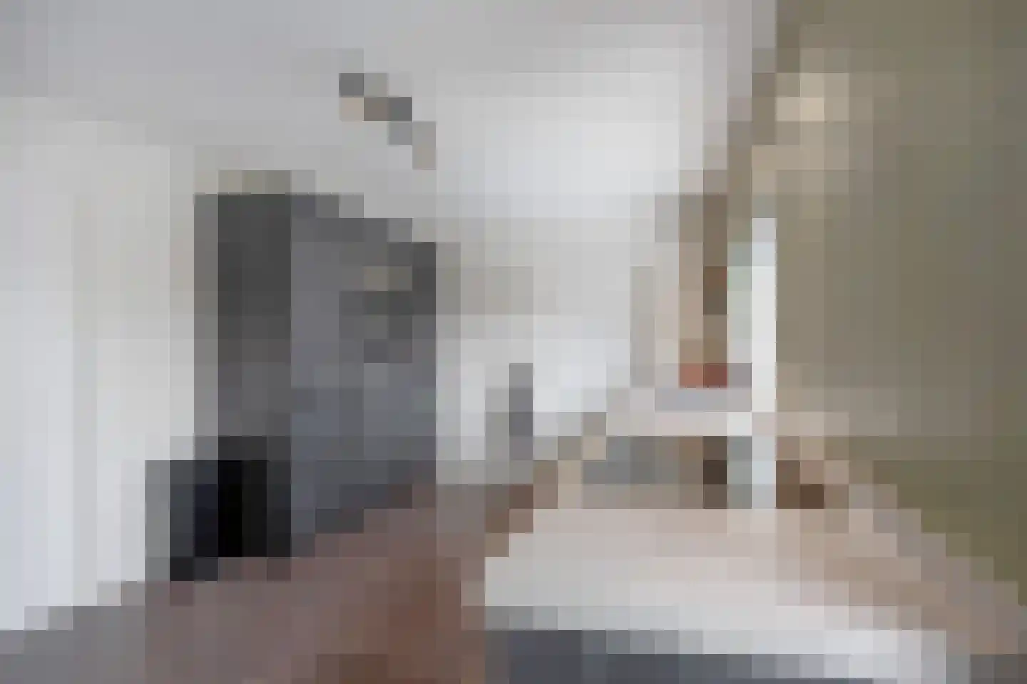 Hoofdstraat 57 Niezijl thumbnail 19