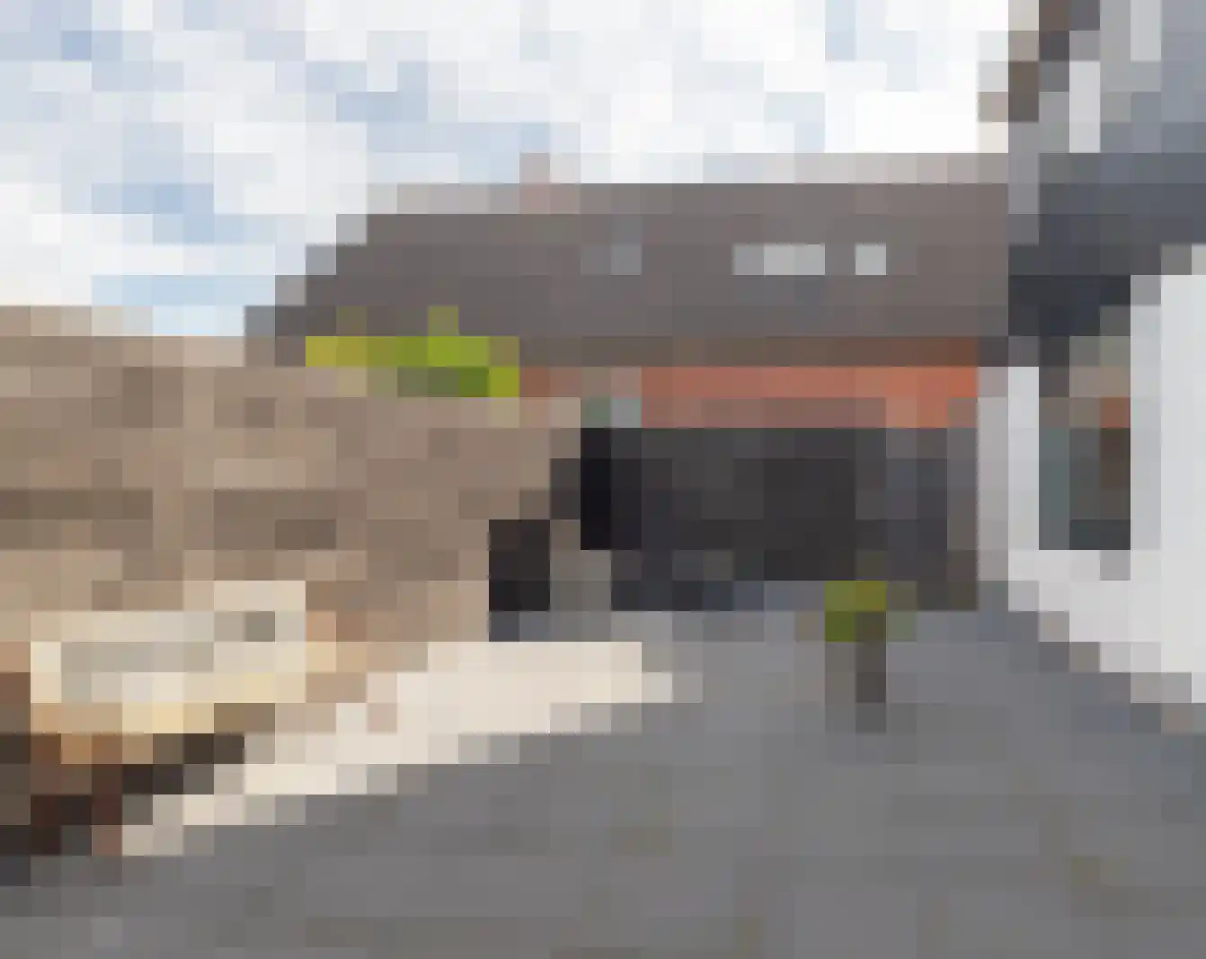 Hoofdstraat 57 Niezijl thumbnail 29
