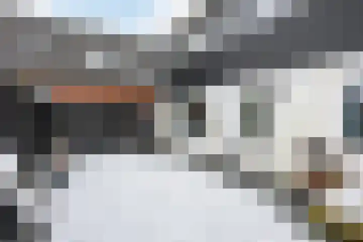 Hoofdstraat 57 Niezijl thumbnail 32