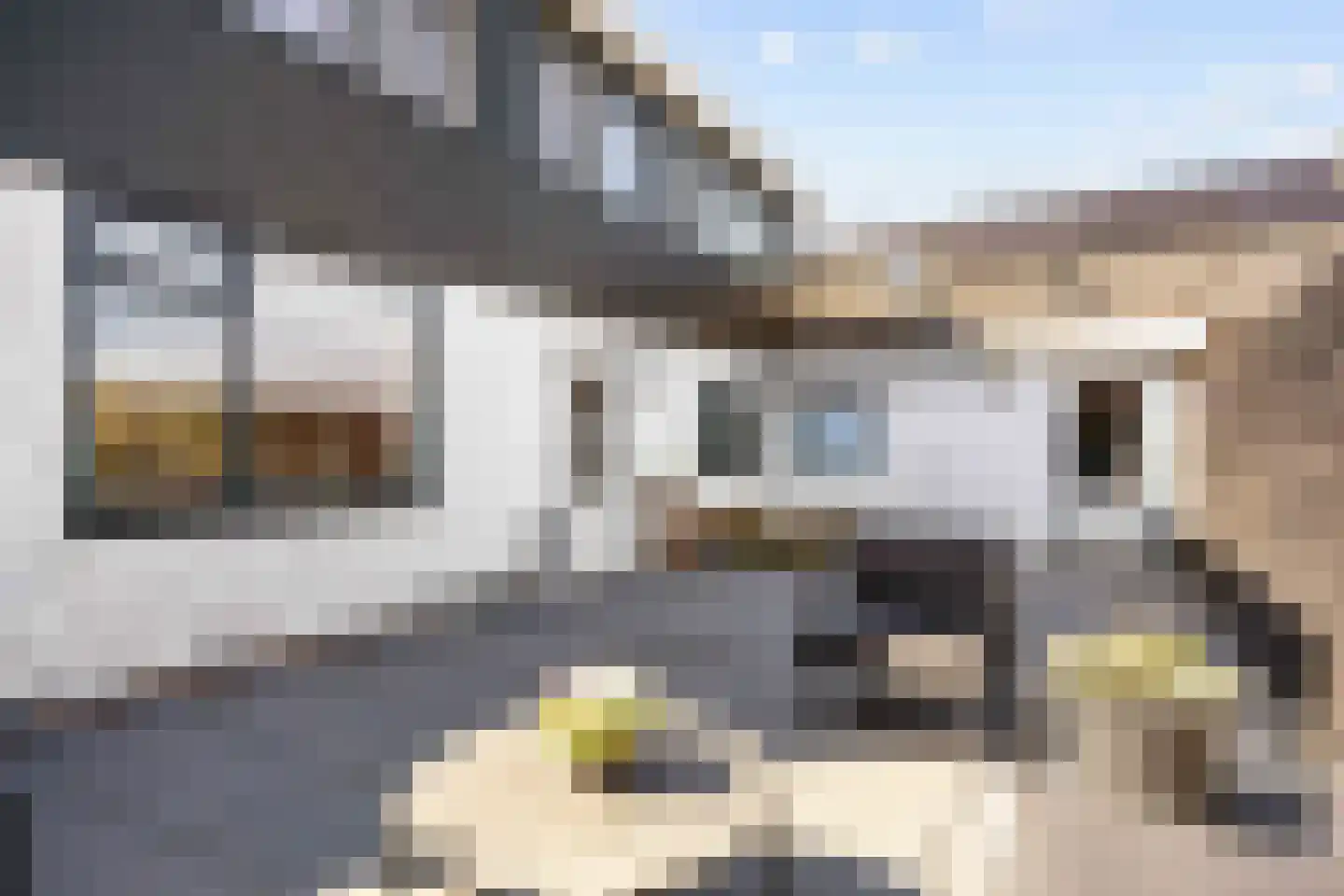 Hoofdstraat 57 Niezijl thumbnail 35