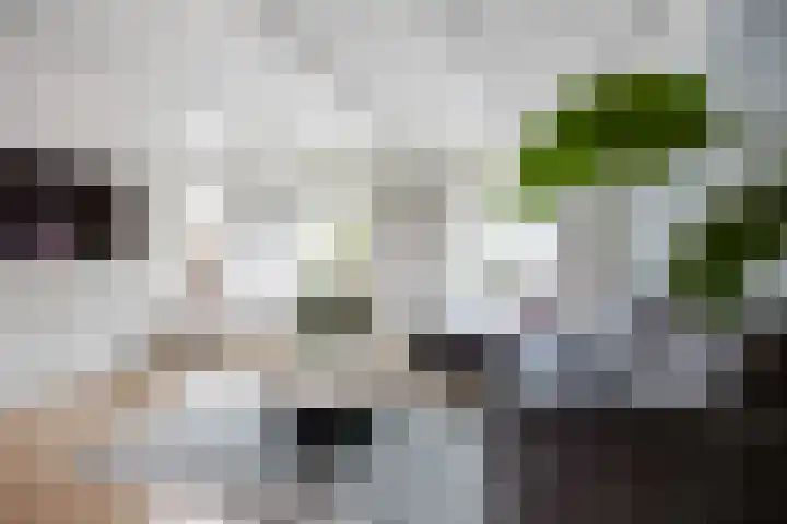 Hoofdstraat 57 Niezijl thumbnail 4