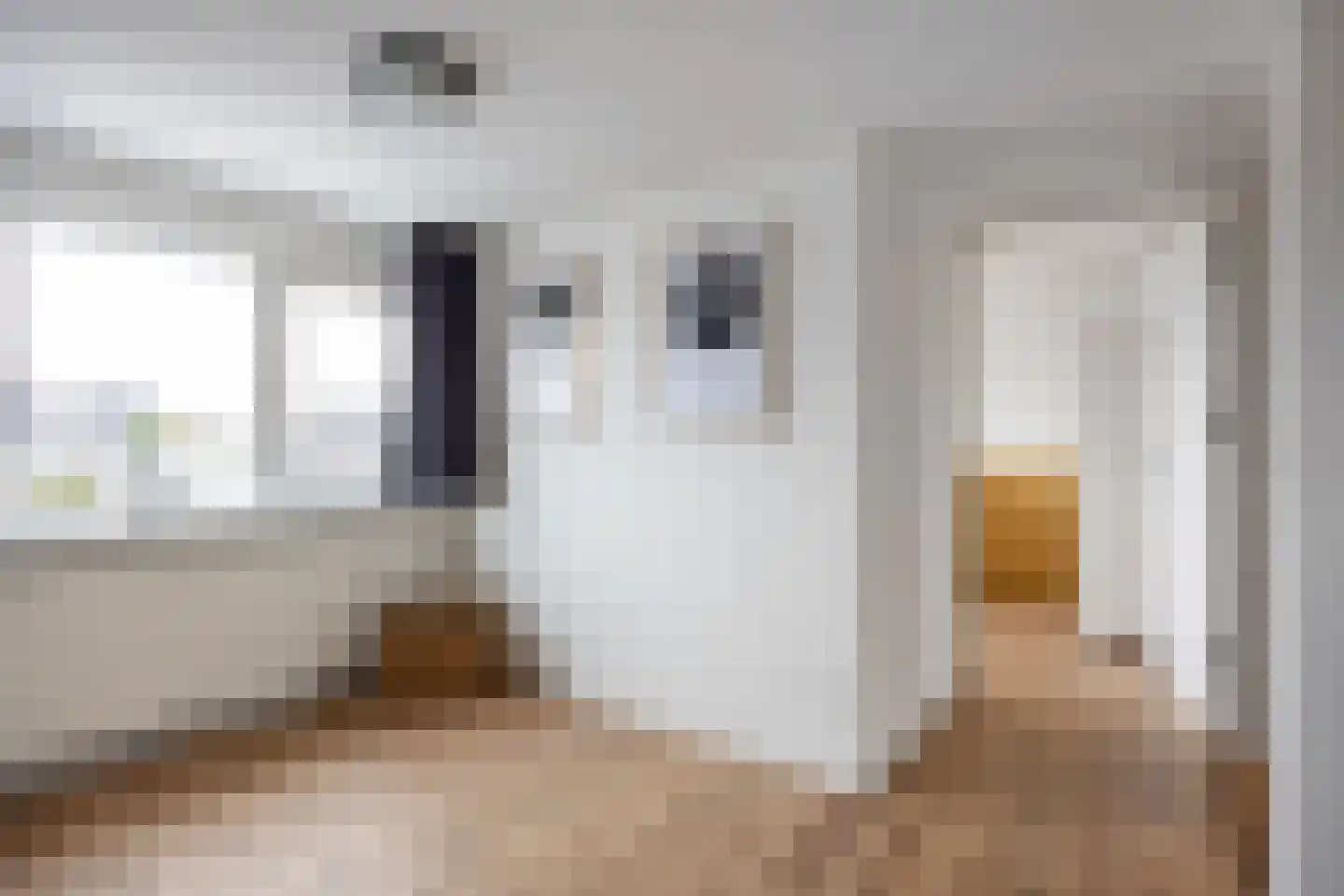 Hoofdstraat 57 Niezijl thumbnail 42