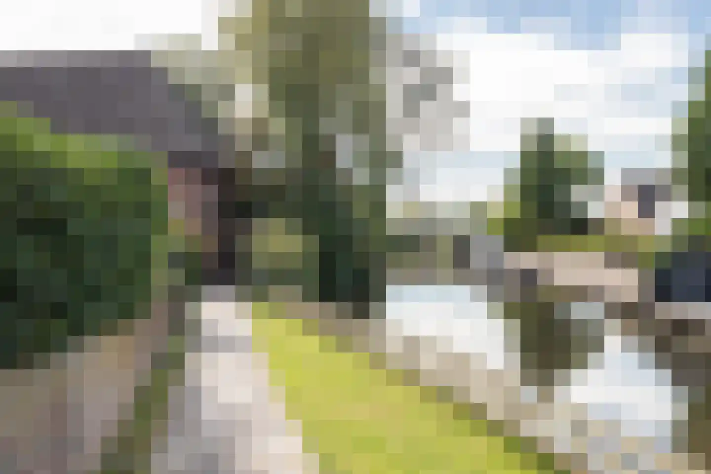 Hoofdstraat 57 Niezijl thumbnail 52
