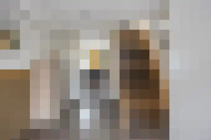 Hoofdstraat 57 Niezijl thumbnail 7