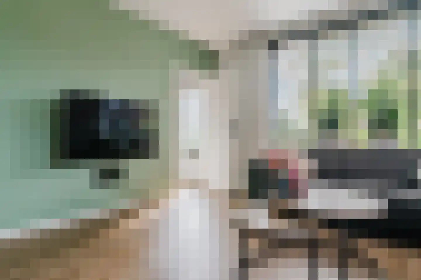 Hoofdstraat 57 Ossenzijl thumbnail 12
