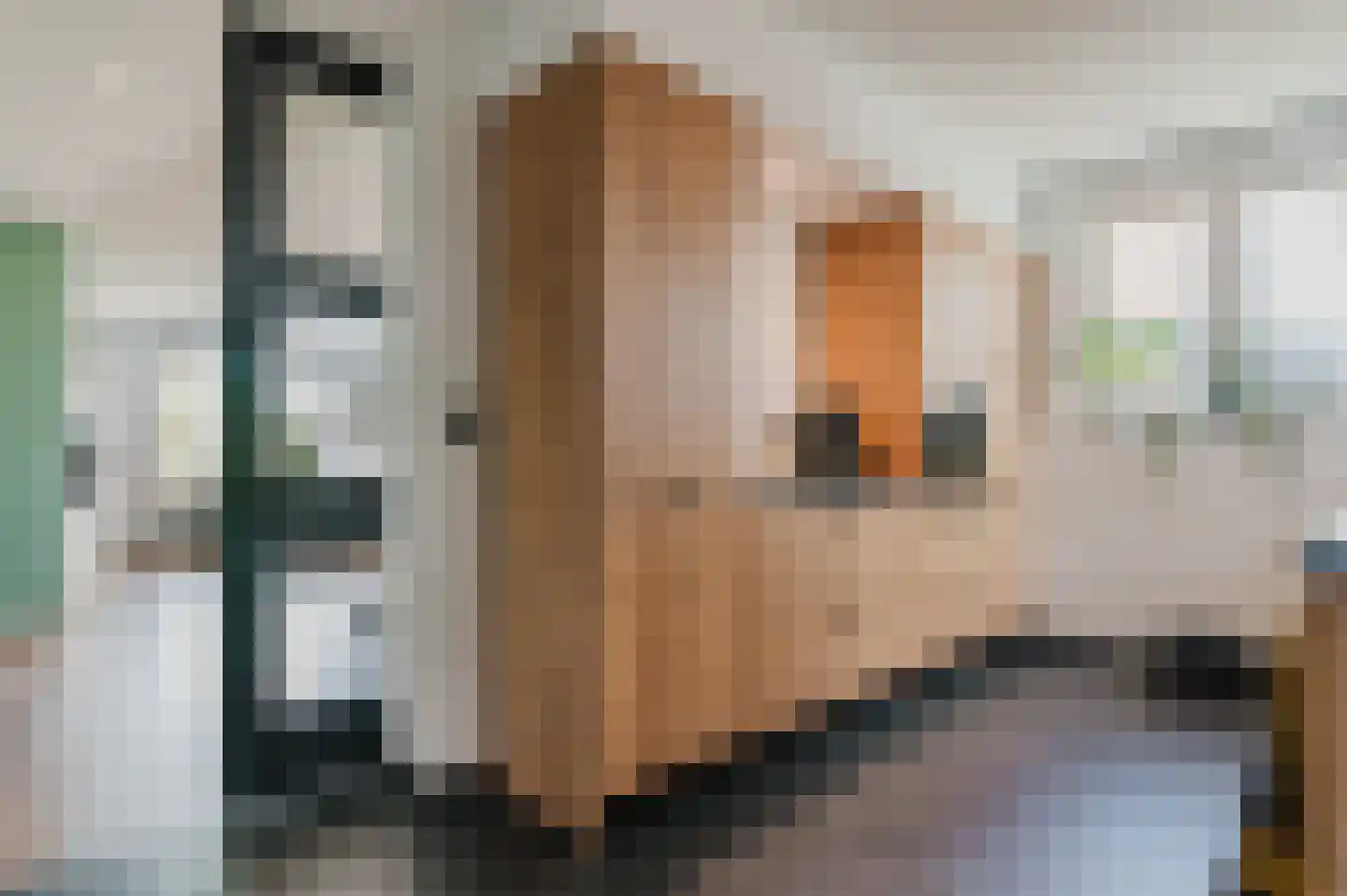 Hoofdstraat 57 Ossenzijl thumbnail 19
