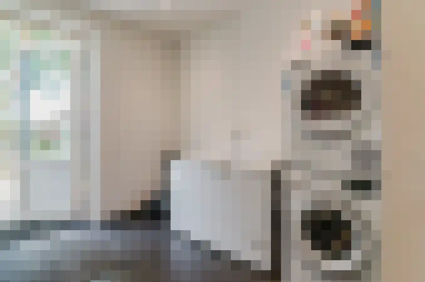 Hoofdstraat 57 Ossenzijl thumbnail 25