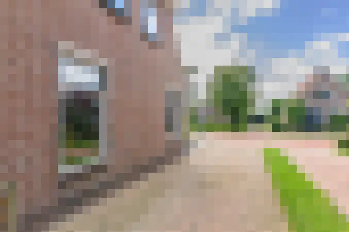 Hoofdstraat 57 Ossenzijl thumbnail 35