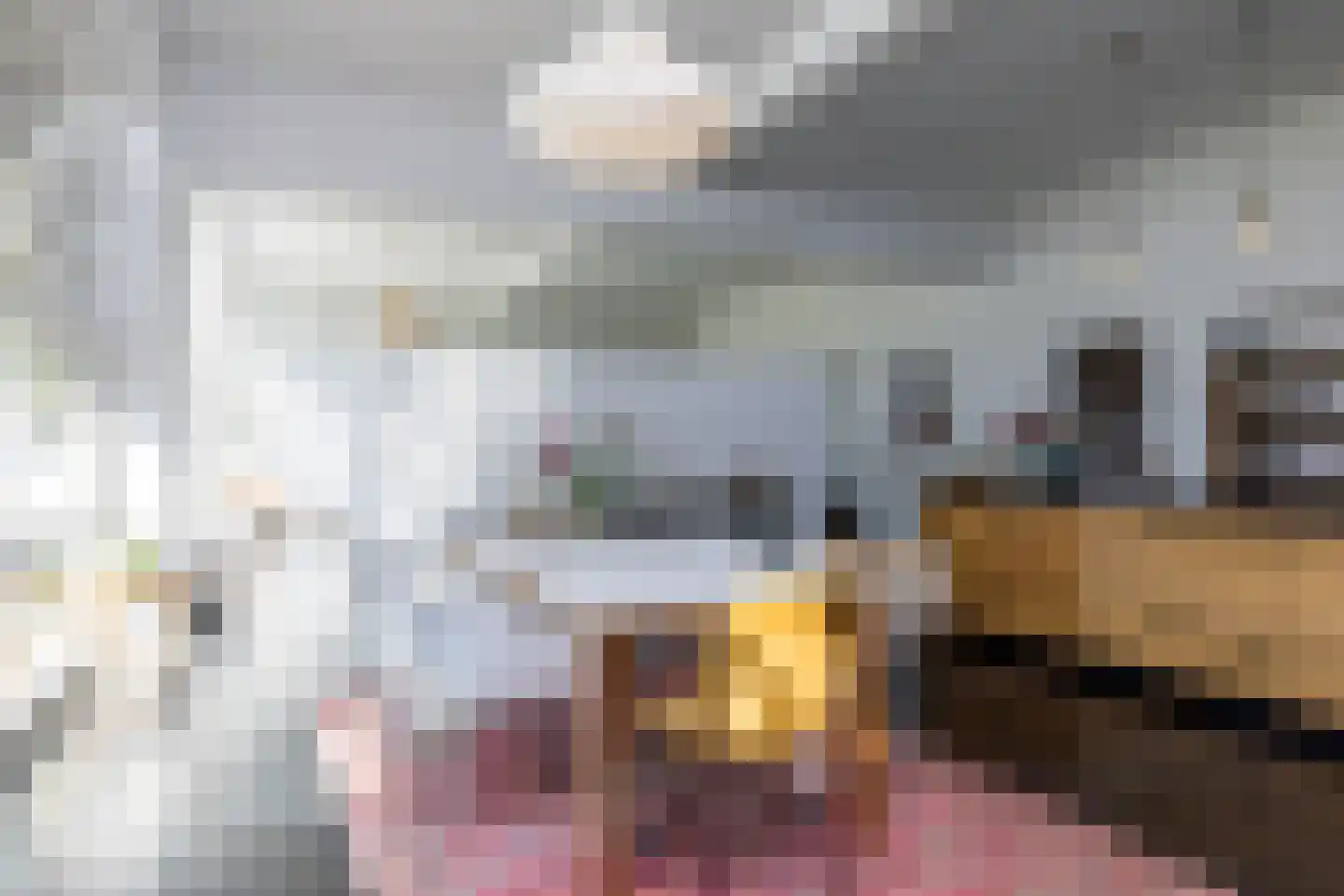 Hoofdstraat 57 Schimmert thumbnail 30