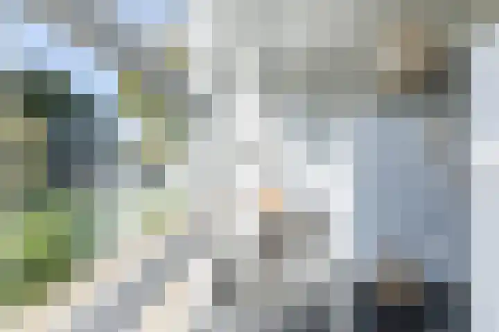 Hoofdstraat 57 Schimmert thumbnail 32