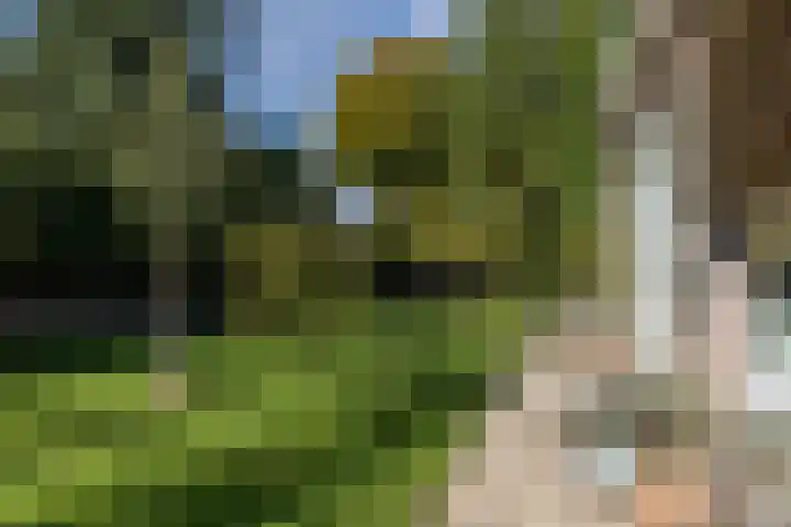 Hoofdstraat 57 Schimmert thumbnail 34