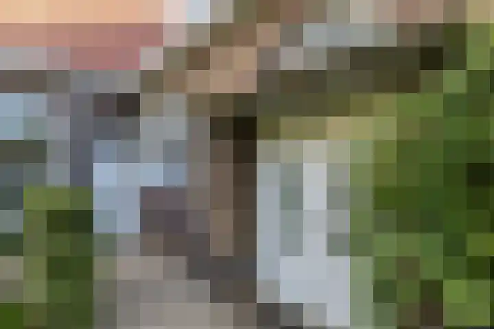 Hoofdstraat 57 Schimmert thumbnail 48