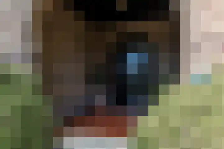 Hoofdstraat 57 Schimmert thumbnail 5