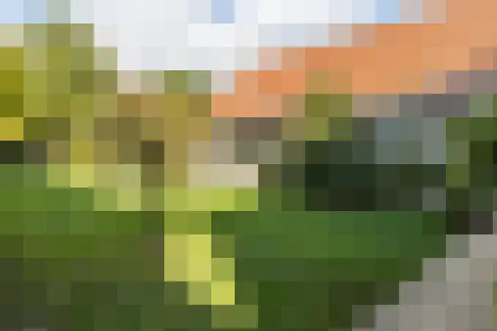 Hoofdstraat 57 Schimmert thumbnail 50