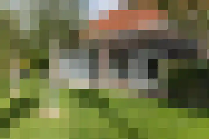 Hoofdstraat 57 Schimmert thumbnail 53