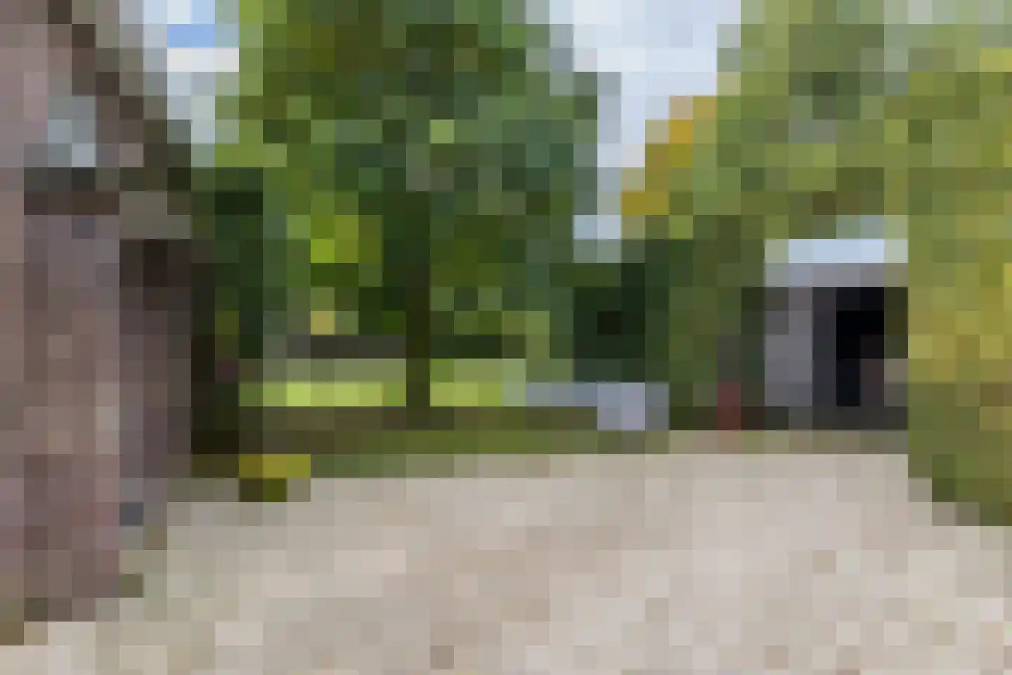 Hoofdstraat 57 Schimmert thumbnail 55