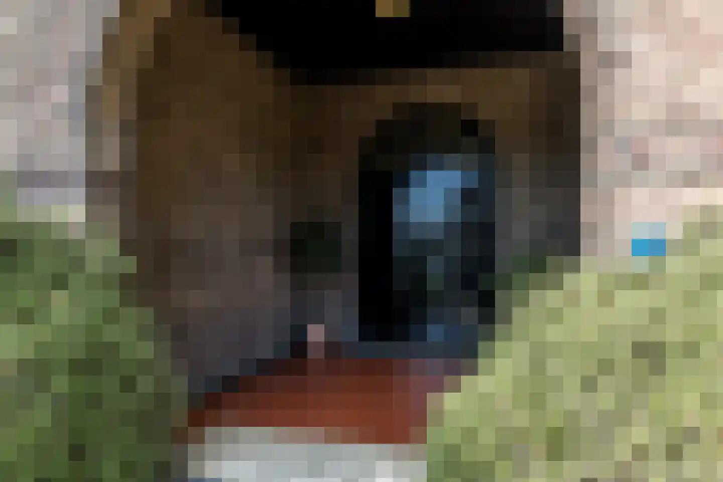 Hoofdstraat 57 Schimmert thumbnail 6