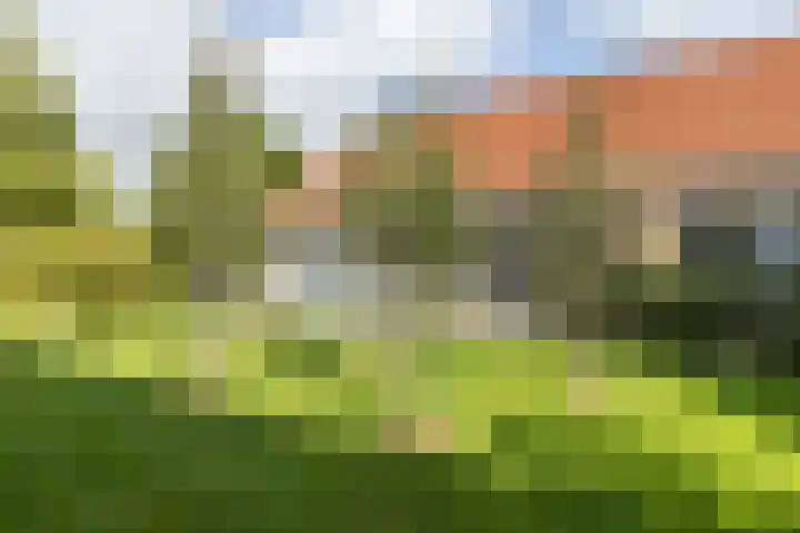 Hoofdstraat 57 Schimmert thumbnail 60