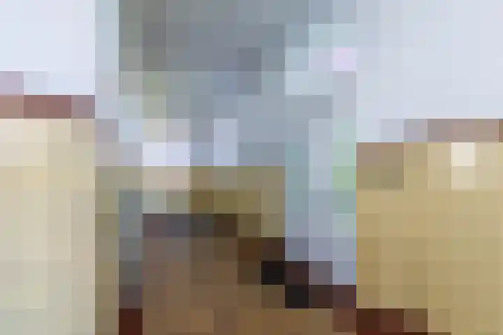 Hoofdstraat 57 Schimmert thumbnail 8