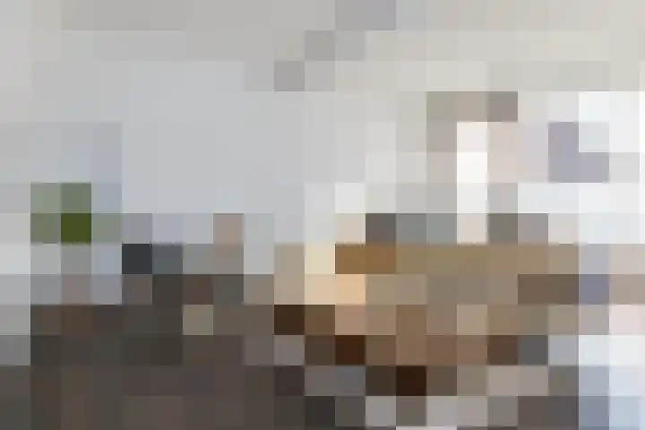 Hoofdstraat 57 Schimmert thumbnail 9