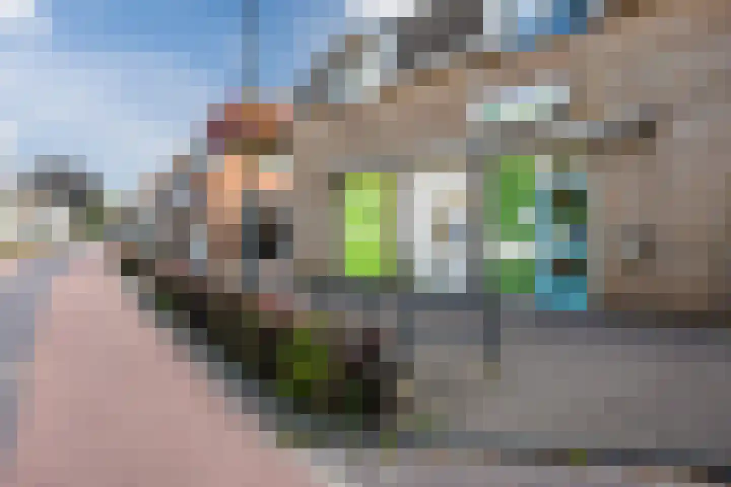 Hoofdstraat 57 Terheijden thumbnail 35