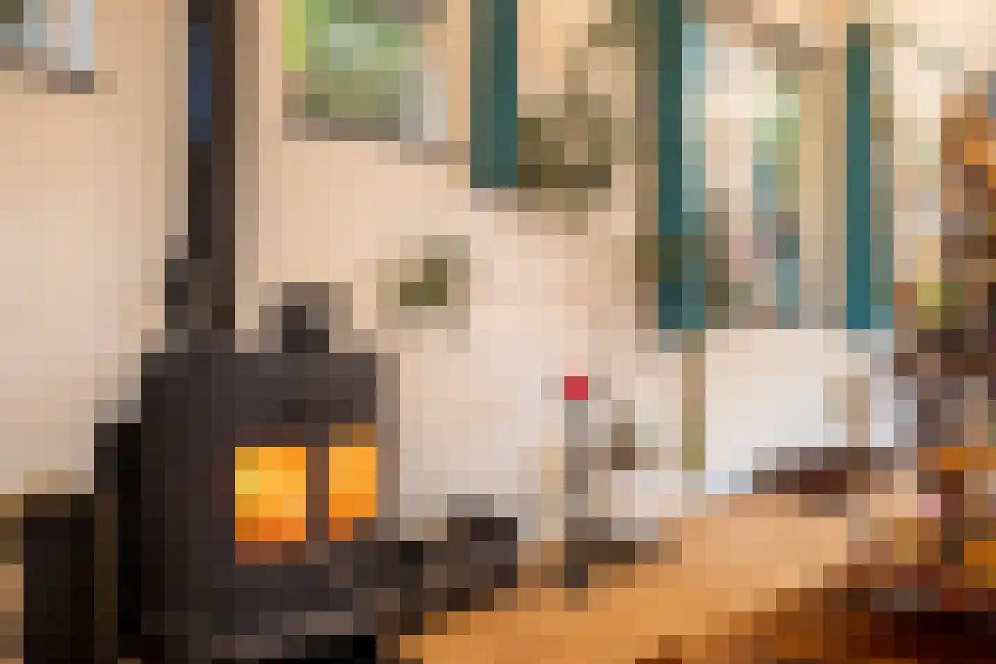 Hoofdstraat 57 Valthe thumbnail 12