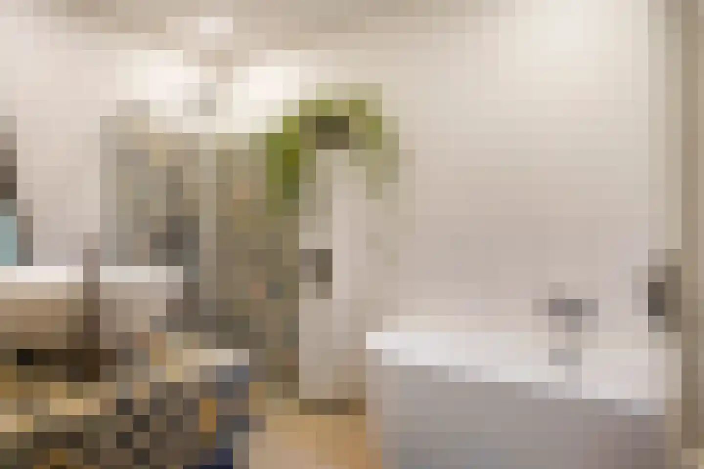 Hoofdstraat 57 Valthe thumbnail 31