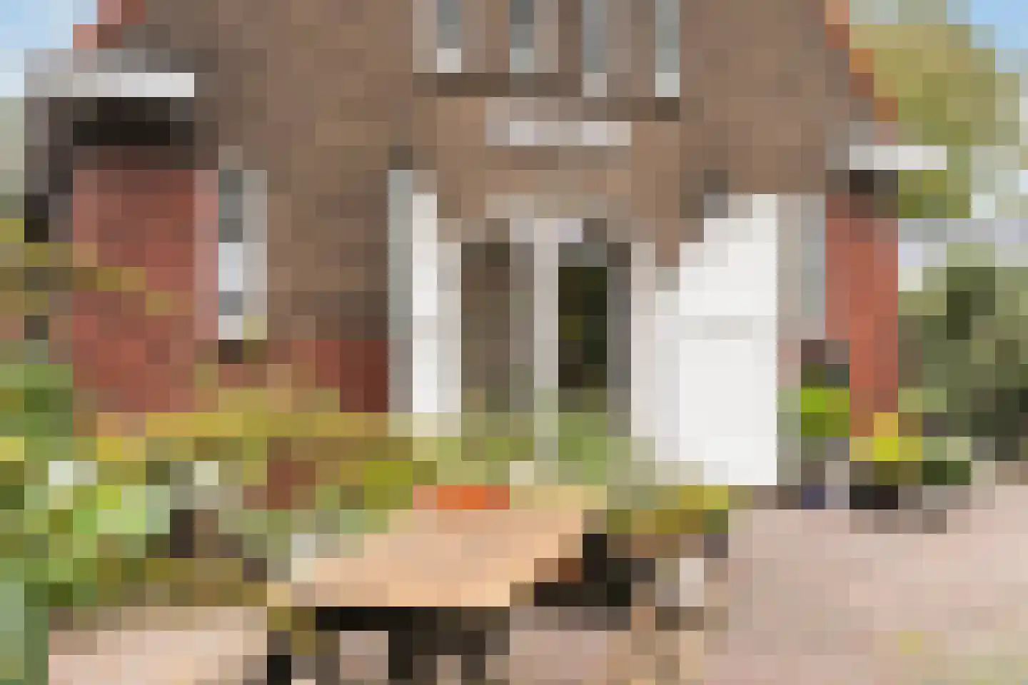 Hoofdstraat 57 Valthe thumbnail 4