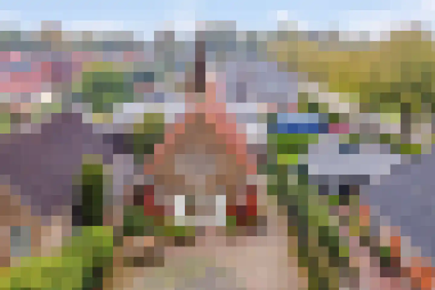 Hoofdstraat 57 Valthe thumbnail 41