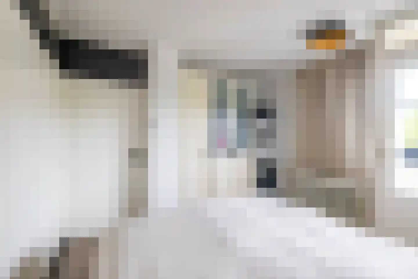 Hoofdstraat 58 a Hoogezand thumbnail 13