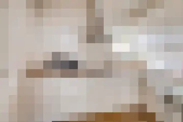 Hoofdstraat 58 Diever thumbnail 10