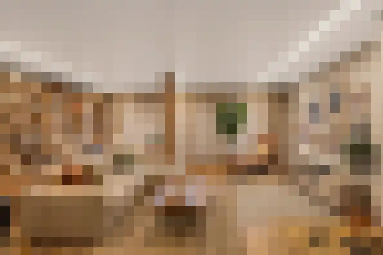 Hoofdstraat 58 Diever thumbnail 14