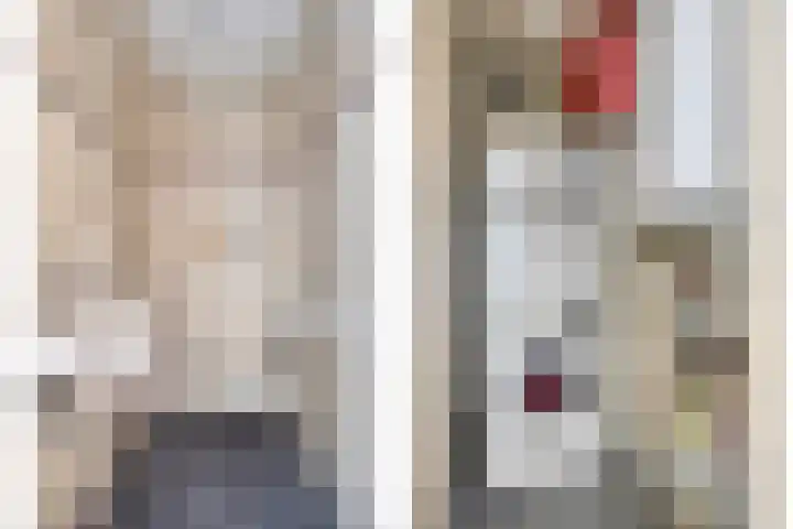 Hoofdstraat 58 Diever thumbnail 15