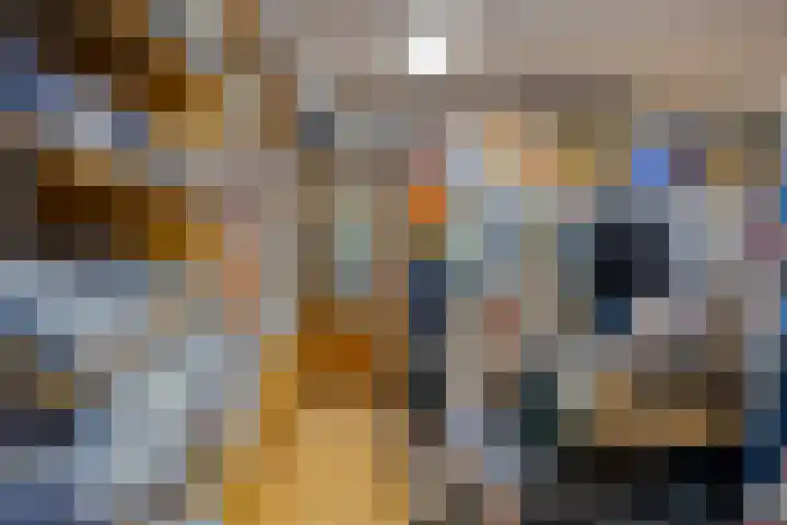 Hoofdstraat 58 Diever thumbnail 21
