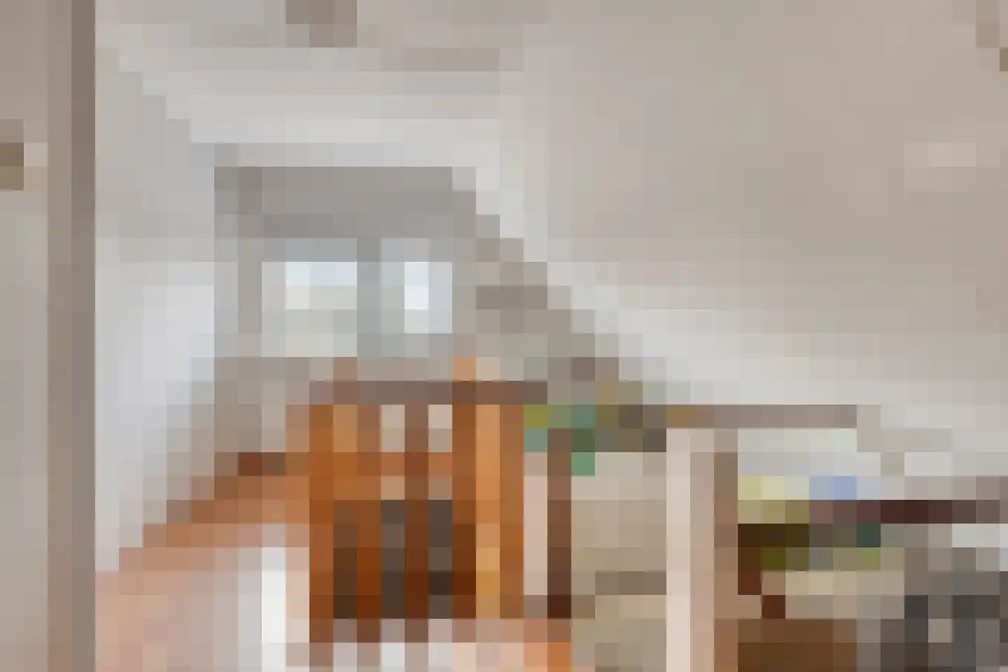Hoofdstraat 58 Diever thumbnail 24