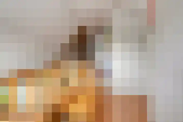 Hoofdstraat 58 Diever thumbnail 25