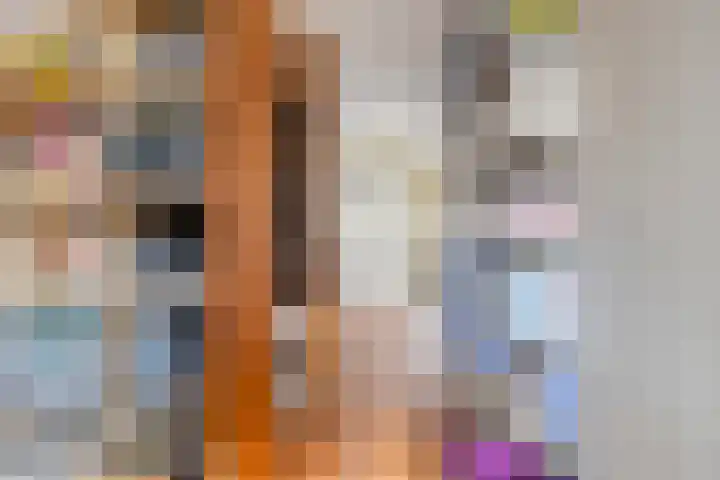 Hoofdstraat 58 Diever thumbnail 27