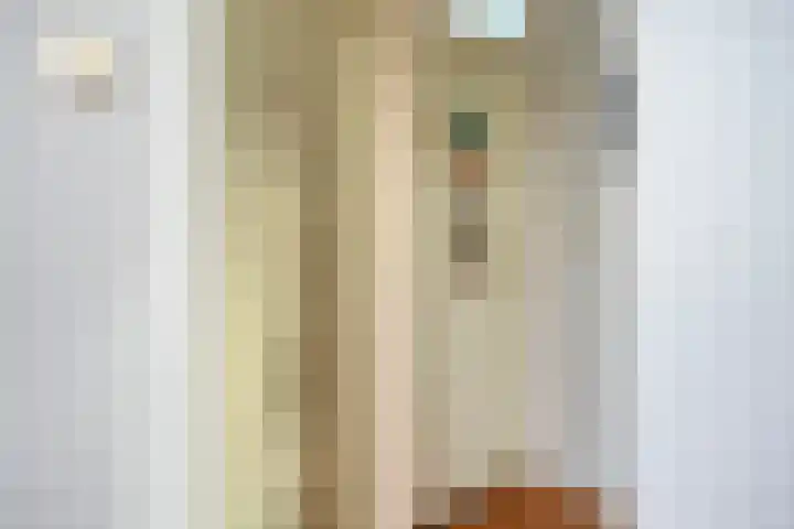 Hoofdstraat 58 Diever thumbnail 29