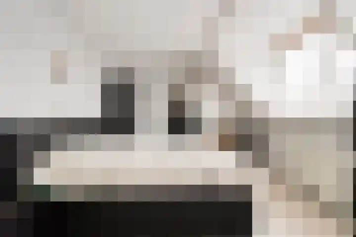 Hoofdstraat 58 Diever thumbnail 30