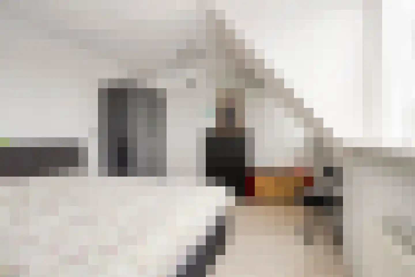 Hoofdstraat 58 Diever thumbnail 31