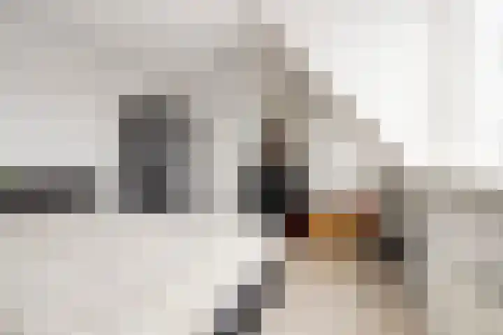 Hoofdstraat 58 Diever thumbnail 31