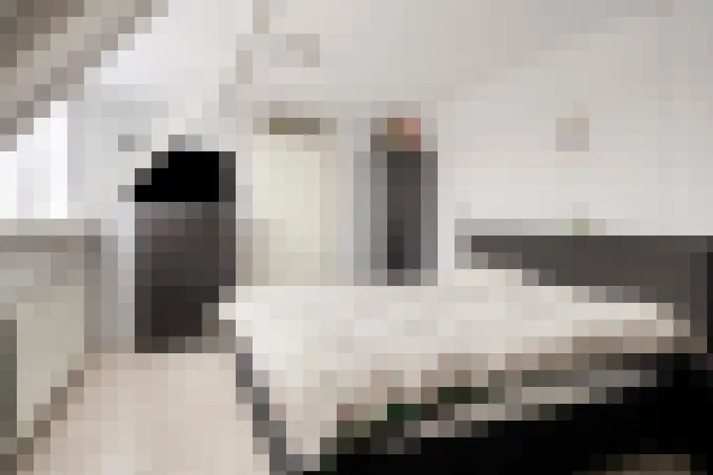 Hoofdstraat 58 Diever thumbnail 32