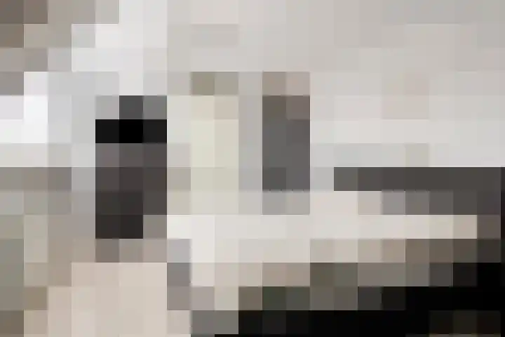 Hoofdstraat 58 Diever thumbnail 32