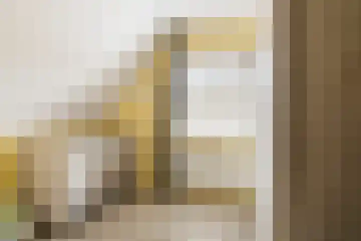 Hoofdstraat 58 Diever thumbnail 35