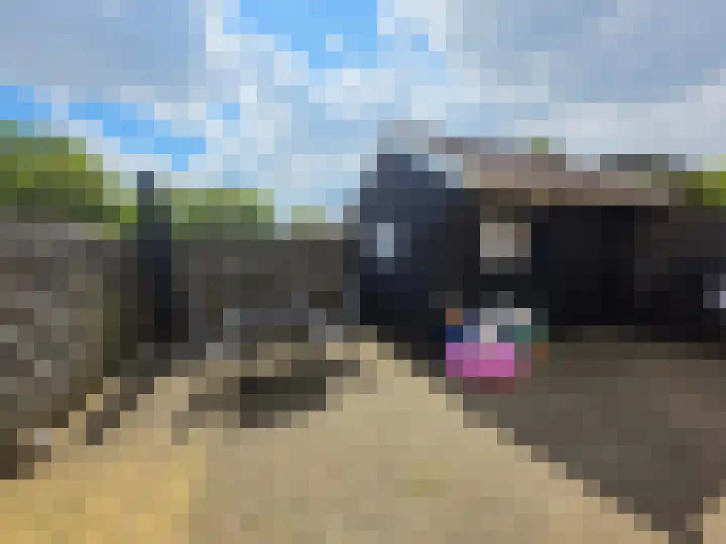 Hoofdstraat 58 Diever thumbnail 36
