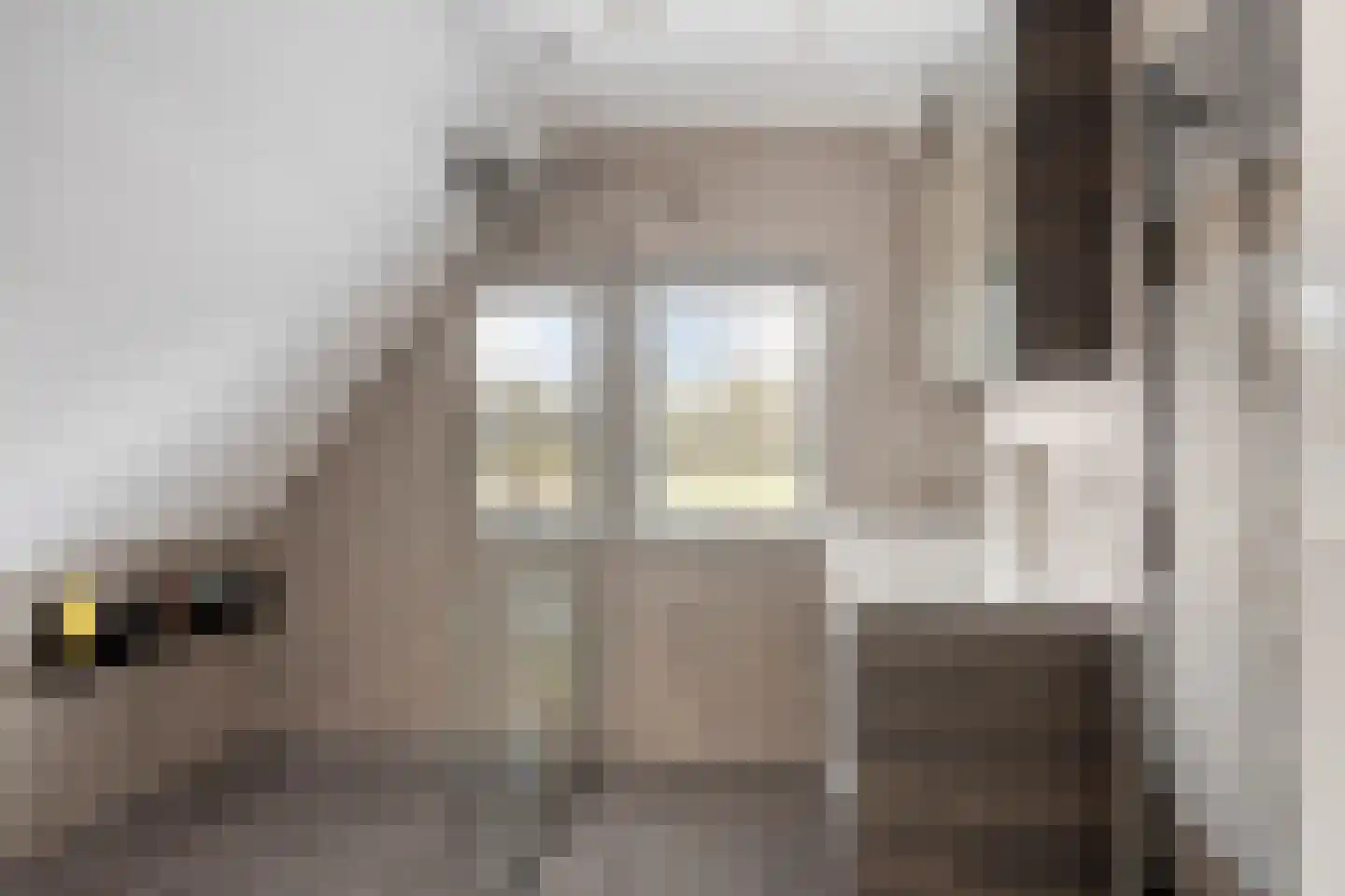 Hoofdstraat 58 Diever thumbnail 37