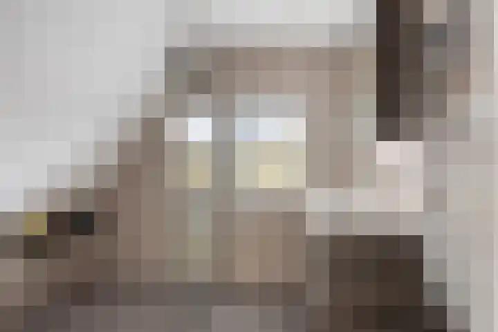 Hoofdstraat 58 Diever thumbnail 37